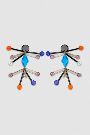 Patrizia Pepe Earrings With Techno Pop Fly Appliqué Gekleurd | ZPO693487