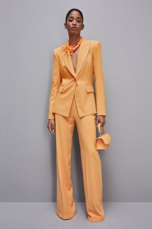 Patrizia Pepe One-button Jacket In Sablè Crepe Fabric Oranje | VYS123784