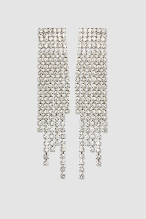 Patrizia Pepe Rhinestone Earrings Zilver | TSV510964