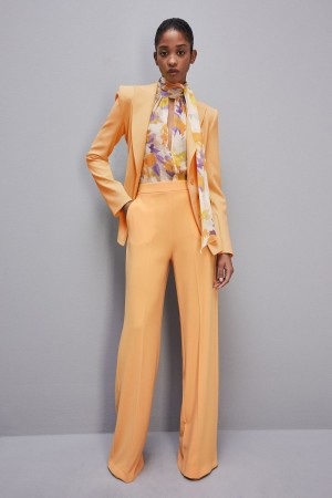 Patrizia Pepe Sablè Crepe Palazzo Pants Oranje | UDR521840